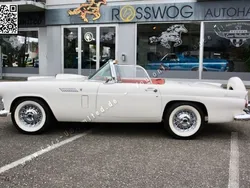 Weiß Gebraucht 1956 Ford Thunderbird Cabrio | 49.900 €