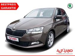Braun Gebraucht 2019 Skoda Fabia Ambition Kleinwagen | 14.950 € (Teuer)