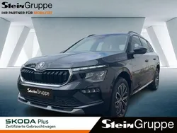 Schwarz Gebraucht 2024 Skoda Kamiq Selection SUV | 25.980 € (Teuer)