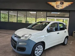 Weiß Gebraucht 2016 Fiat Panda Pop Kleinwagen | 5.900 € (Fairer Preis)