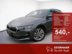 Graphitegrau Gebraucht 2024 Skoda Octavia Selection Kombi | 33.480 € (Guter Preis)