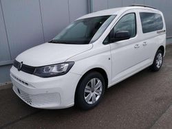 Puregrey Neu 2025 VW Caddy Family Van / Kleinbus | 33.290 € (Etwas zu teuer)