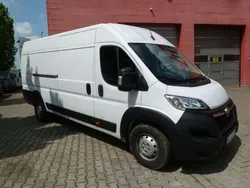 Casablancaweiß Gebraucht 2023 Opel Movano Selection Van | 24.500 € (Superpreis)