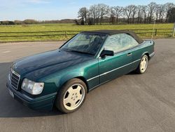 Grün Gebraucht 2025 Mercedes 200 Cabrio | 16.990 €