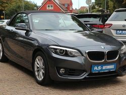 Grau Gebraucht 2019 BMW 218 Sport Line Cabrio | 24.900 € (Etwas zu teuer)