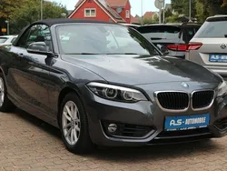 Grau Gebraucht 2019 BMW 218 Sport Line Cabrio | 24.900 € (Etwas zu teuer)