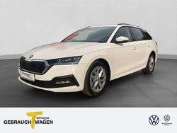 Weiß Gebraucht 2022 Skoda Octavia Ambition Kombi | 21.580 € (Superpreis)