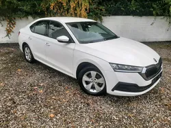 Weiß Gebraucht 2023 Skoda Octavia Limousine | 17.500 €