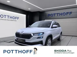 Weiss Gebraucht 2024 Skoda Karoq Selection SUV | 29.977 € (Guter Preis)