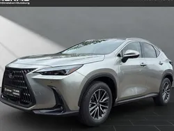 Weiß Neu 2025 Lexus NX350h SUV | 55.990 € (Guter Preis)