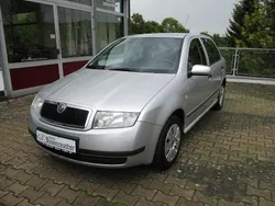 Silber Gebraucht 2004 Skoda Fabia Classic Limousine | 2.980 € (Teuer)
