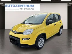 Gelb Neu 2024 Fiat Panda Kleinwagen | 13.980 €