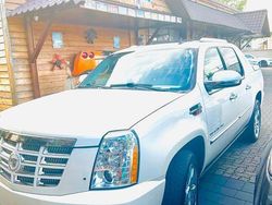 Weiß Gebraucht 2010 Cadillac Escalade SUV | 30.499 €