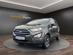 Grau Gebraucht 2019 Ford Ecosport Trend SUV | 12.450 € (Guter Preis)