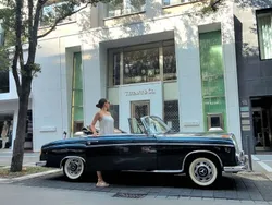 Blau Gebraucht 1959 Mercedes 220 Cabrio | 98.000 €