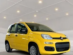 Gelb Neu 2025 Fiat Panda Kleinwagen | 14.990 € (Fairer Preis)