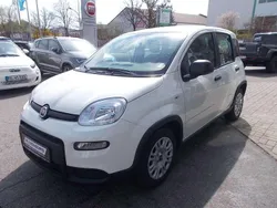Spezialunilackierung bianco Neu 2024 Fiat Panda Kleinwagen | 14.980 € (Fairer Preis)