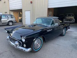 Schwarz Gebraucht 1955 Ford Thunderbird Cabrio | 29.000 €