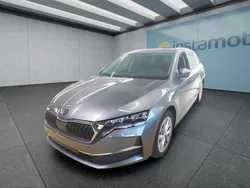 Grau Gebraucht 2024 Skoda Octavia Limousine | 30.699 € (Teuer)