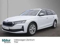 Moonweiss metallic Gebraucht 2024 Skoda Octavia Selection Kombi | 29.280 € (Guter Preis)