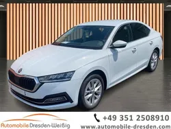 Weiß Gebraucht 2023 Skoda Octavia Style Kombi | 26.980 € (Guter Preis)