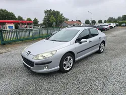 Grau Gebraucht 2005 Peugeot 407 Limousine | 2.990 € (Etwas zu teuer)
