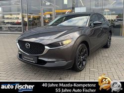 Grau Gebraucht 2024 Mazda CX-30 Homura-Line SUV | 29.590 € (Fairer Preis)