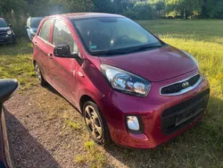 Violet Gebraucht 2015 Kia Picanto 2 Kleinwagen | 3.890 € (Fairer Preis)
