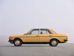 Gelb Gebraucht 1977 Mercedes 230 Limousine | 11.150 €
