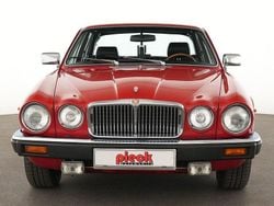 Rot Gebraucht 1981 Jaguar XJ12 Limousine | 15.900 €