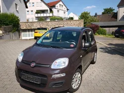 Braun Gebraucht 2013 Fiat Panda Kleinwagen | 4.100 € (Fairer Preis)