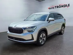 Silber Gebraucht 2024 Skoda Kodiaq Selection SUV | 44.620 € (Guter Preis)