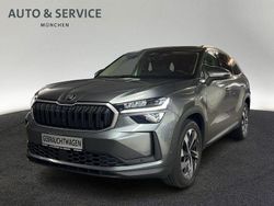 Grau Gebraucht 2024 Skoda Kodiaq Selection SUV | 43.860 € (Guter Preis)