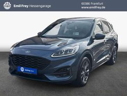Blau Gebraucht 2023 Ford Kuga ST-Line X SUV | 22.950 € (Guter Preis)