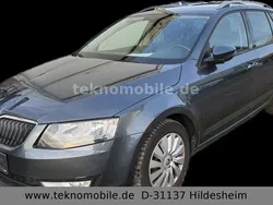Grau Gebraucht 2015 Skoda Octavia Limousine | 4.786 € (Fairer Preis)