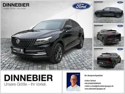 Schwarz Gebraucht 2021 DFSK Fengon Limousine | 18.480 € (Teuer)