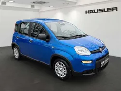 Blau Gebraucht 2024 Fiat Panda Kleinwagen | 15.790 € (Etwas zu teuer)