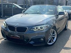Grau Gebraucht 2015 BMW 220 M Sport Cabrio | 16.800 € (Guter Preis)