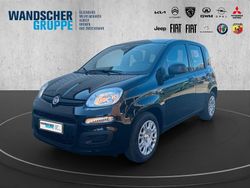 Schwarzschwarz Gebraucht 2025 Fiat Panda Kleinwagen | 15.990 € (Teuer)