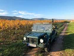 Gebraucht 1969 DKW Munga SUV | 10.000 €