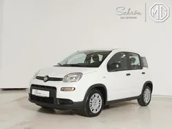 Gebraucht 2024 Fiat Panda Kleinwagen | 16.765 € (Teuer)