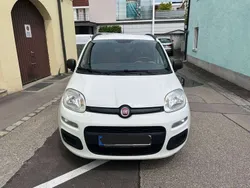 Weiß Gebraucht 2015 Fiat Panda Kleinwagen | 3.200 € (Fairer Preis)