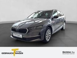 Grau Neu 2025 Skoda Octavia Selection Kombi | 32.450 € (Superpreis)