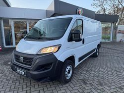 Weiß Gebraucht 2021 Fiat Ducato Van | 21.491 € (Superpreis)