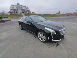Grün Gebraucht 2016 Cadillac CT6 Limousine | 34.900 €