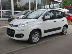 Weiß Gebraucht 2016 Fiat Panda Easy Kleinwagen | 7.499 € (Fairer Preis)