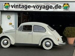 Beige Gebraucht 1967 VW Käfer Limousine | 13.900 €
