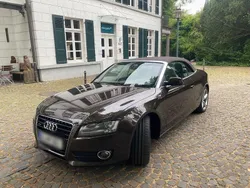 Braun Gebraucht 2011 Audi A5 Cabriolet Cabrio | 12.700 € (Etwas zu teuer)