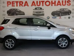 Grau Gebraucht 2019 Ford Ecosport Titanium SUV | 11.999 € (Guter Preis)