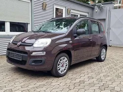 Marrone avvolgente Gebraucht 2013 Fiat Panda Kleinwagen | 4.990 € (Fairer Preis)